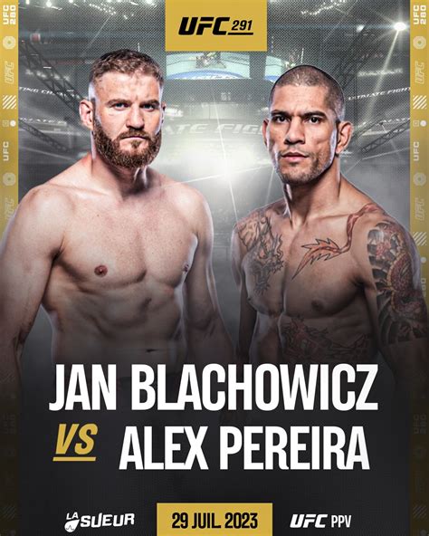 pereira vs blachowicz